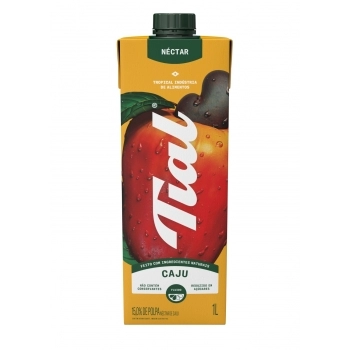 TIAL SUCO / NECTAR 1000ML CAJU